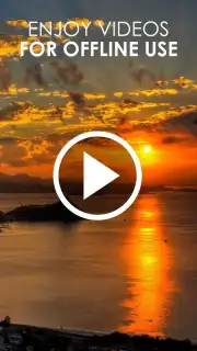 HD Video Downloader Free captura 1