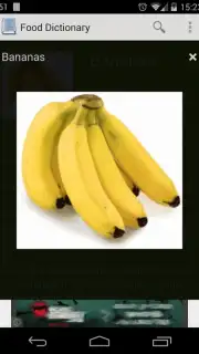 Food Dictionary captura 2
