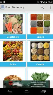 Food Dictionary captura 5