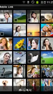 MobileLink captura 3