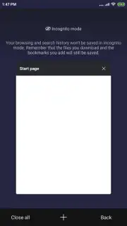 Mint Browser captura 6