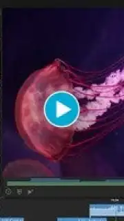 LumaFusion: Education Edition captura 1