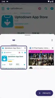 Tor Browser captura 26