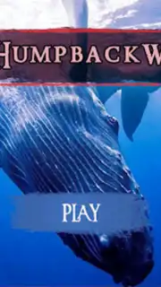 The Humpback Whales captura 9