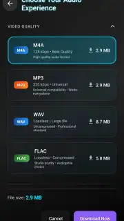 VidCombo: All Video Downloader captura 6