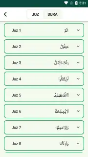 Quran Majeed captura 1