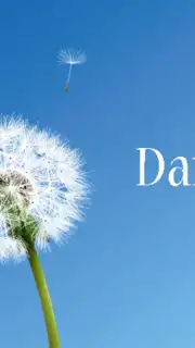 Dandelion captura 4