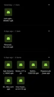 Xiaomi File Manager captura 9