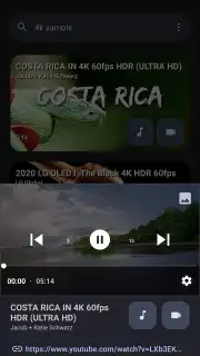 YTDLnis captura 12