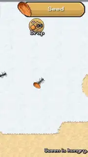 Pocket Ants captura 14