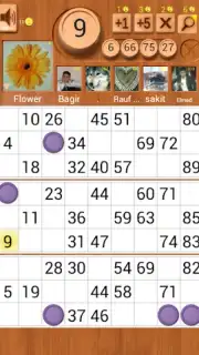 Loto Online captura 6