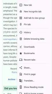 Chrome Beta captura 1