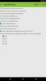 OpenVPN Client Free captura 2