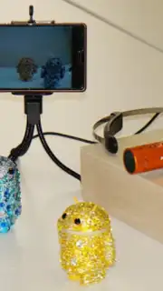 USB Camera Standard captura 5