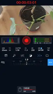 Blackmagic Camera captura 7