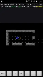 NetHack captura 10