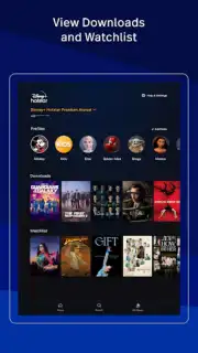 Disney+ Hotstar captura 17