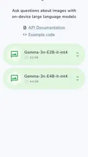 Google AI Edge Gallery captura 5