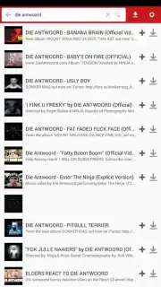 iTube Pro captura 5