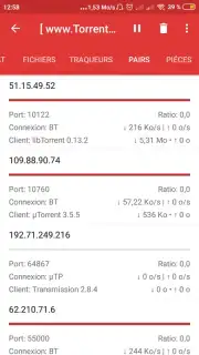 Red Torrent Download captura 1