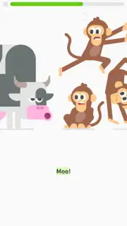 Duolingo ABC captura 2