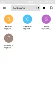 X Web Browser captura 3