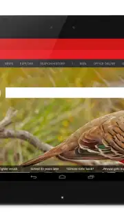 Anonymous Browser captura 2