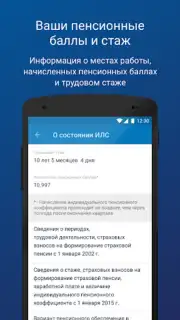 ПФР Электронные сервисы captura 3