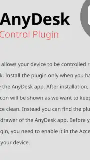 AnyDesk plugin ad1 captura 8