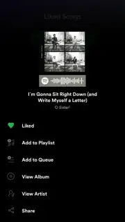 Spotify captura 22