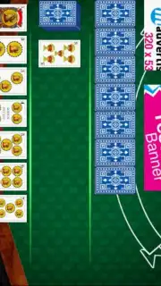 Chinchon captura 4