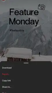 InstaPro captura 10