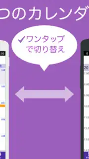 UcCalendar captura 2
