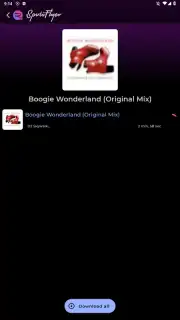 SpotiFlyer captura 4