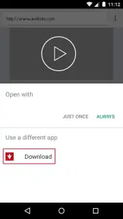 Web Video Downloader captura 3