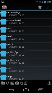 cPWebDisk captura 5