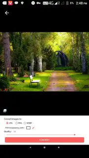 Best Image Converter Professional (Pro) captura 6