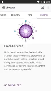 Tor Browser captura 19