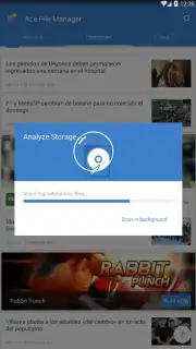 Ace File Manager captura 4