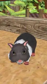 PetHotel - My animal boarding captura 3