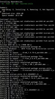 Termux captura 11