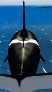 Orca Simulator captura 3