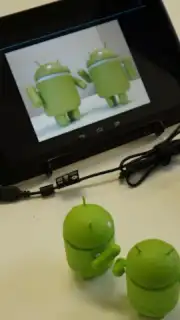 USB Camera Standard captura 3