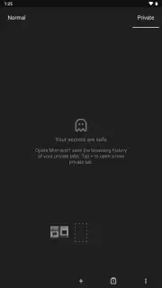 Opera Mini captura 7