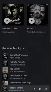 FLAC Music captura 3