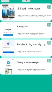 VPN Proxy Browser captura 3