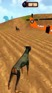 Doggy Dog Universe captura 7