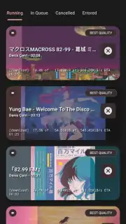 YTDLnis captura 8