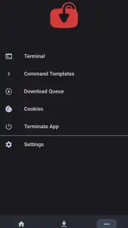 YTDLnis captura 21