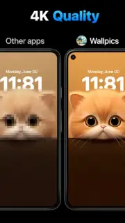 Wallpics captura 7